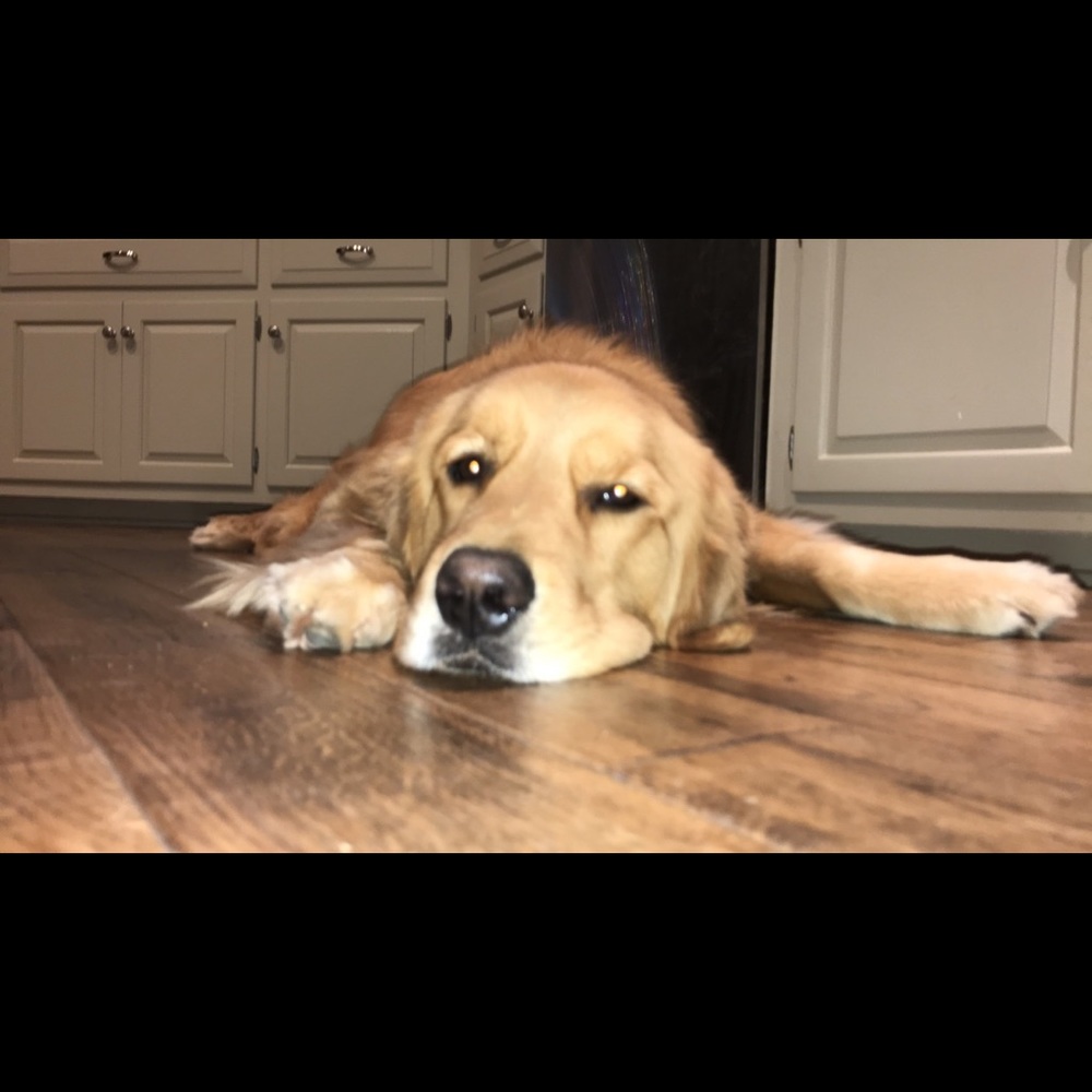 Meet your Posher, Meredith